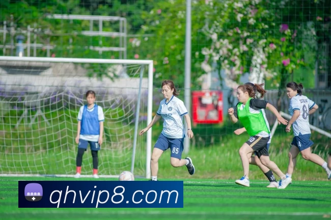 多媒体互动体验